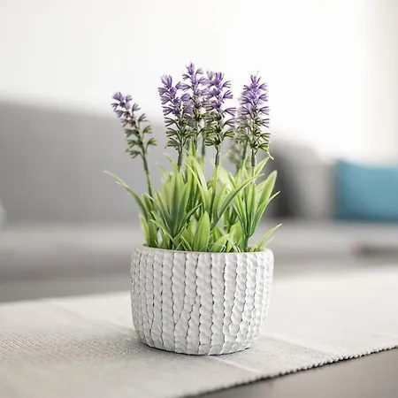 Cracow Modern Free Parking, Views, Tram Apartmán